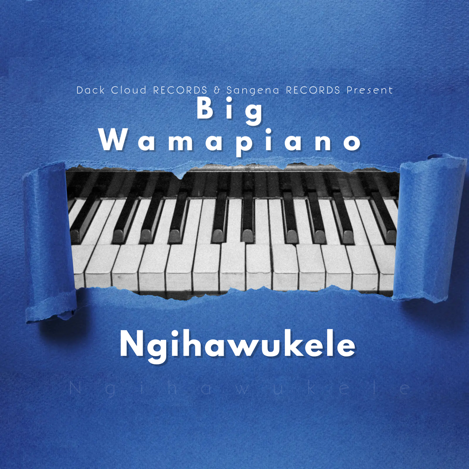 Ngihawukele - Big Wamapiano